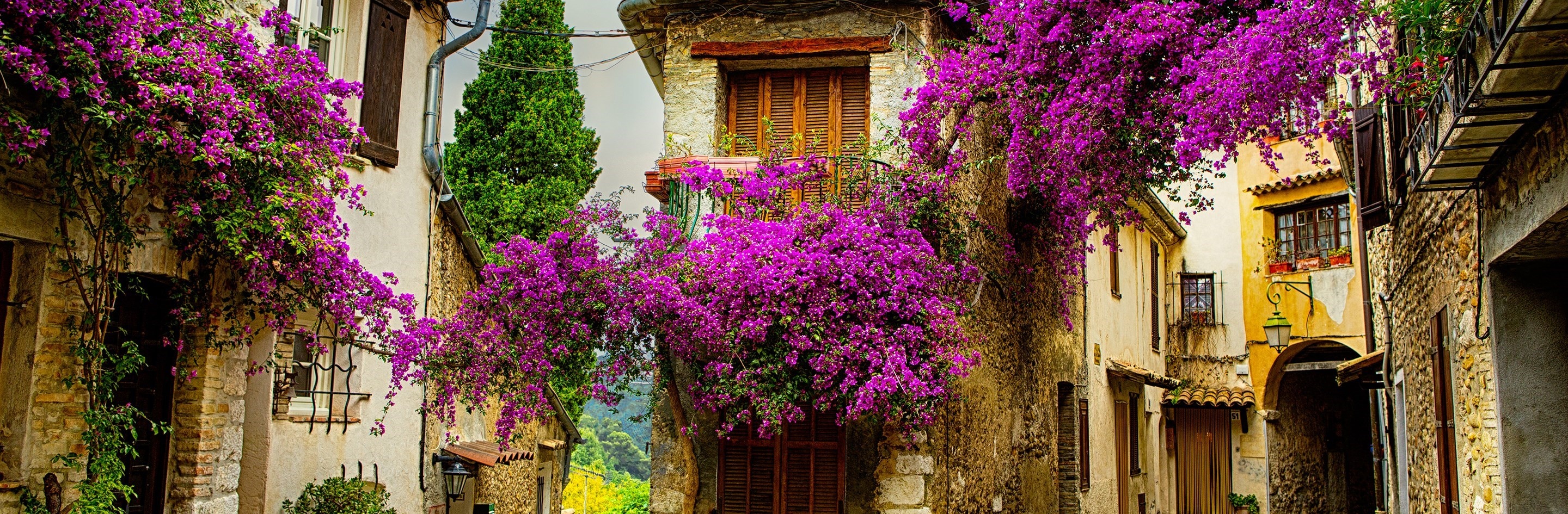 Colors of Provence (Wine Cruise) (Arles to Lyon)