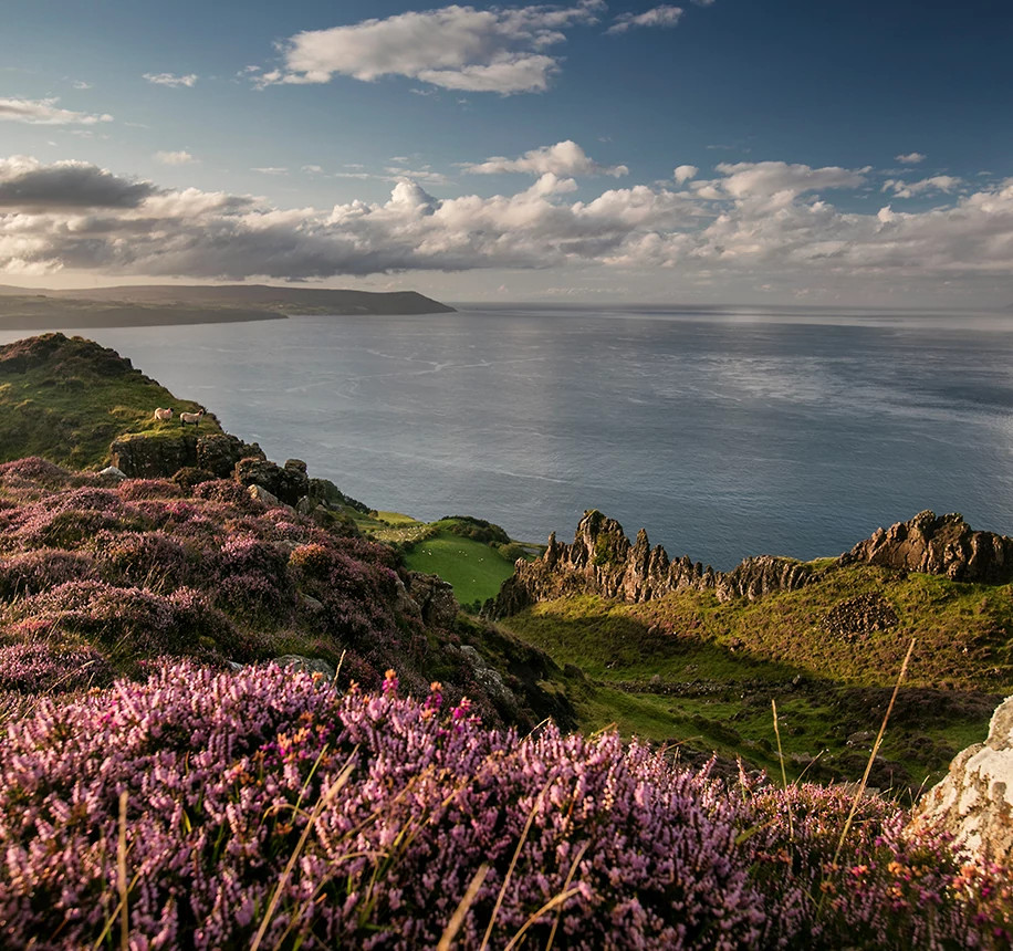 Irish Classic - Dublin/Dublin 2026 (13 Days)