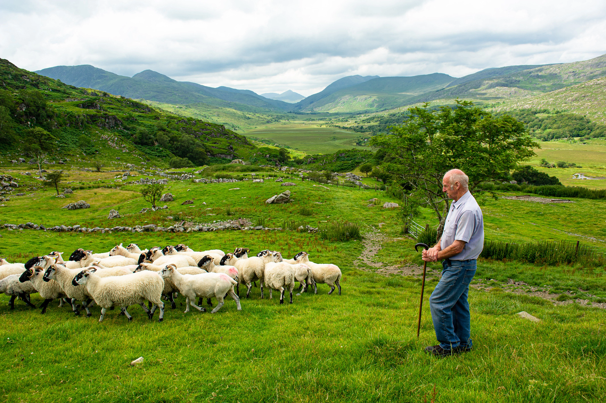 Best of Ireland South - Dublin/Dublin 2026 (7 Days)