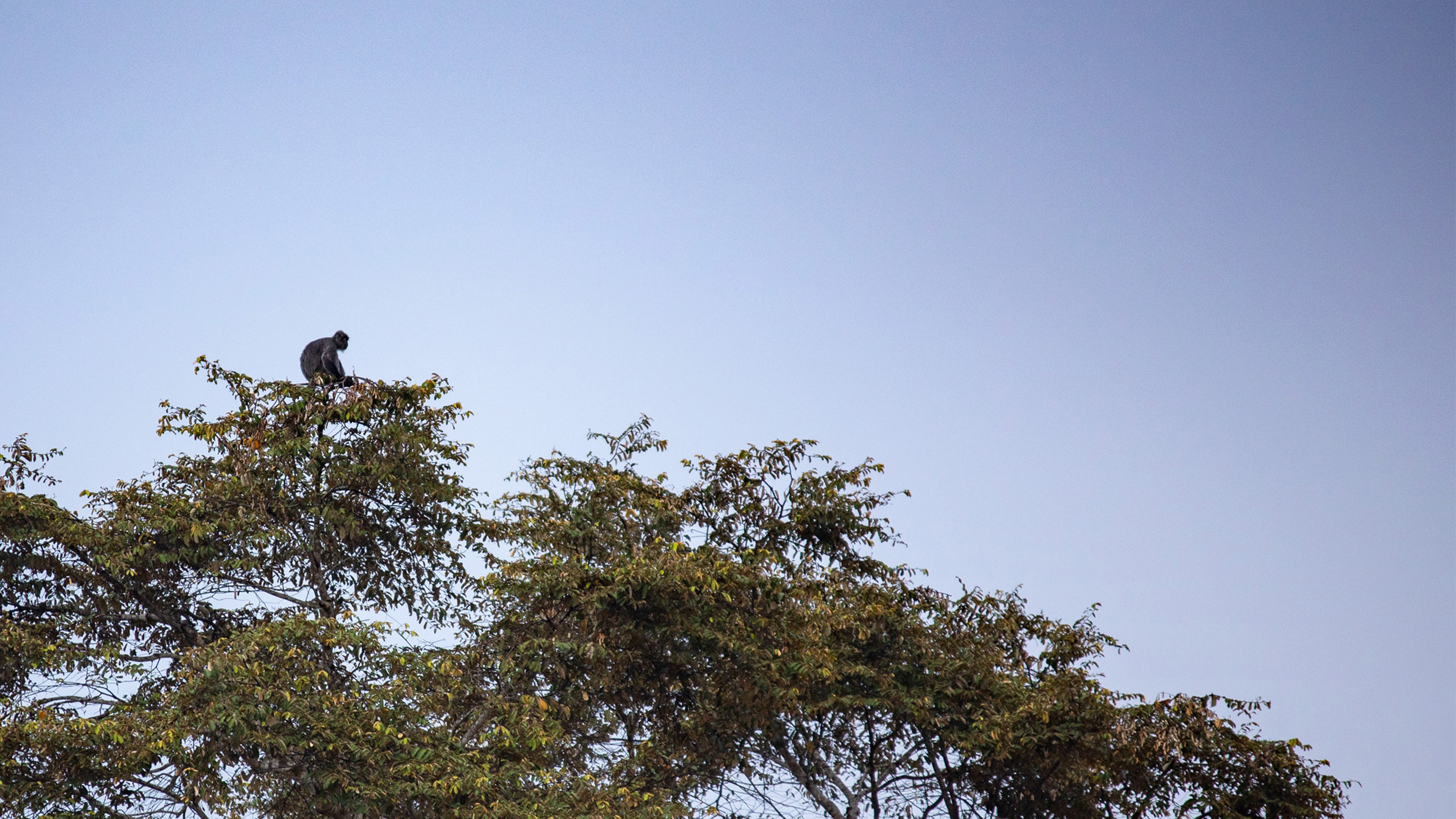 Highlights of Sabah & Mt Kinabalu