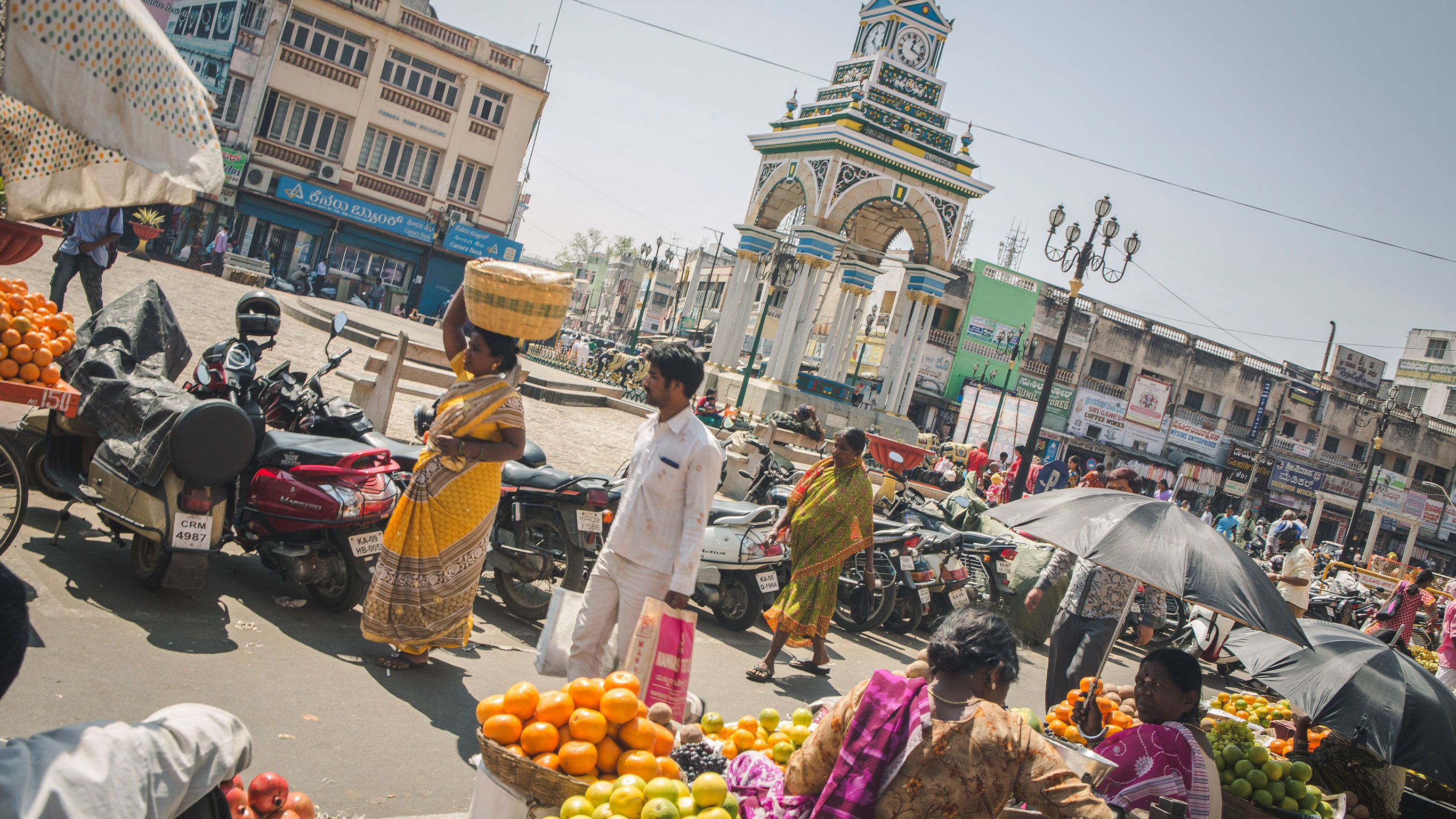 India: Kochi & Goa's Golden Beaches