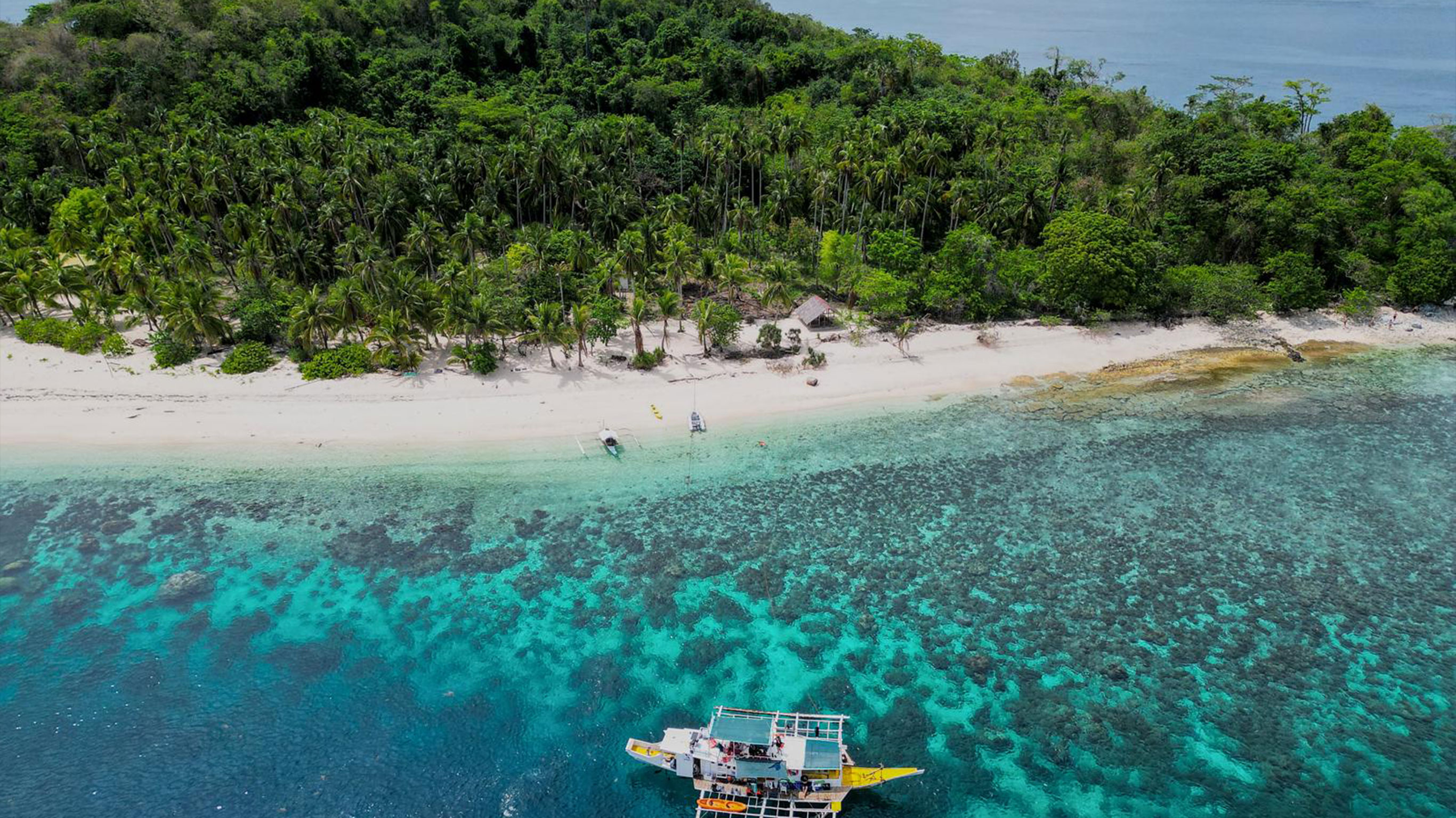 Palawan and Coron: Underground Rivers, Snorkeling & Island Hopping