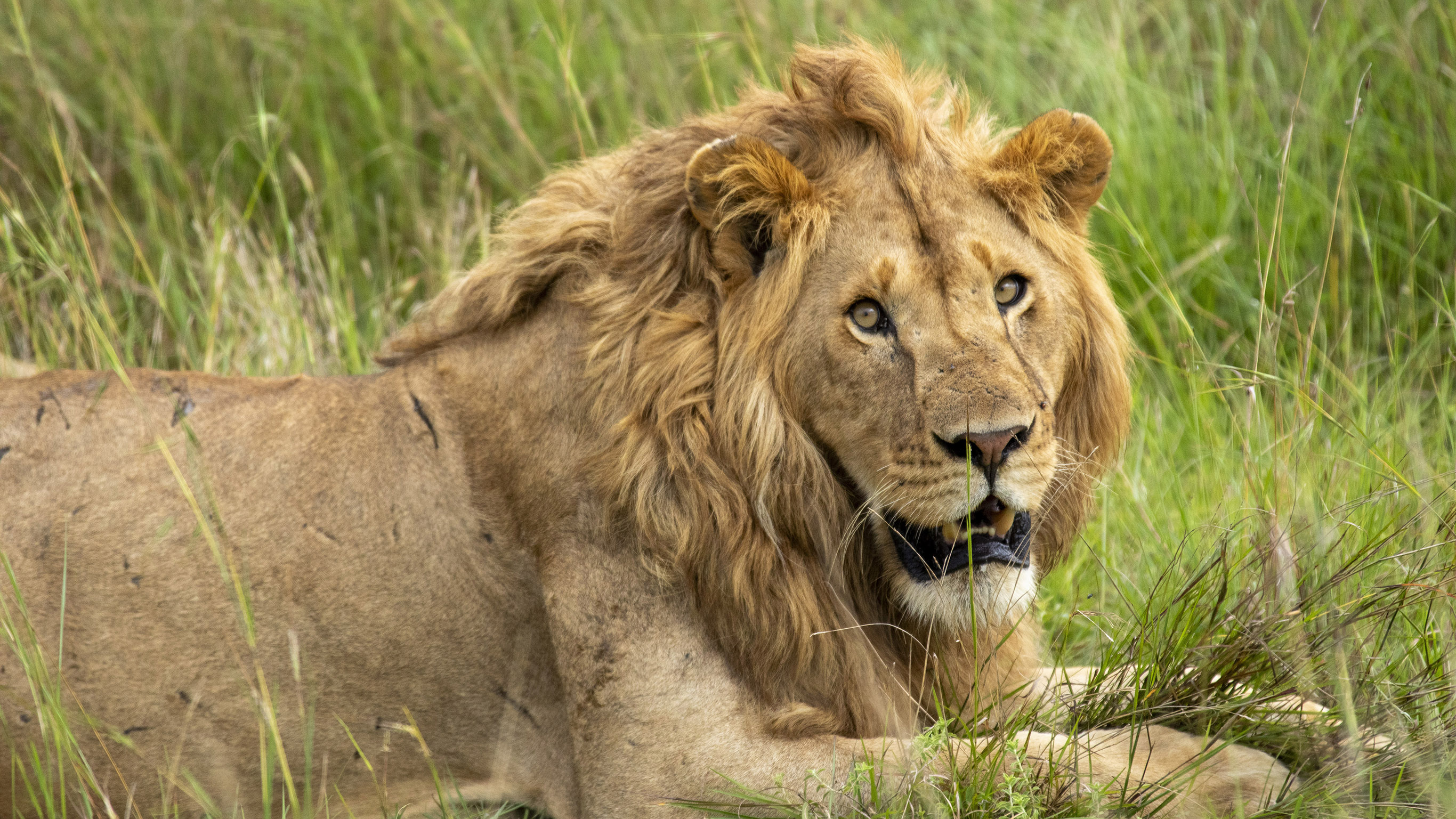 Wildlife & Coastal Wonders of Kenya: Tsavo to Watamu