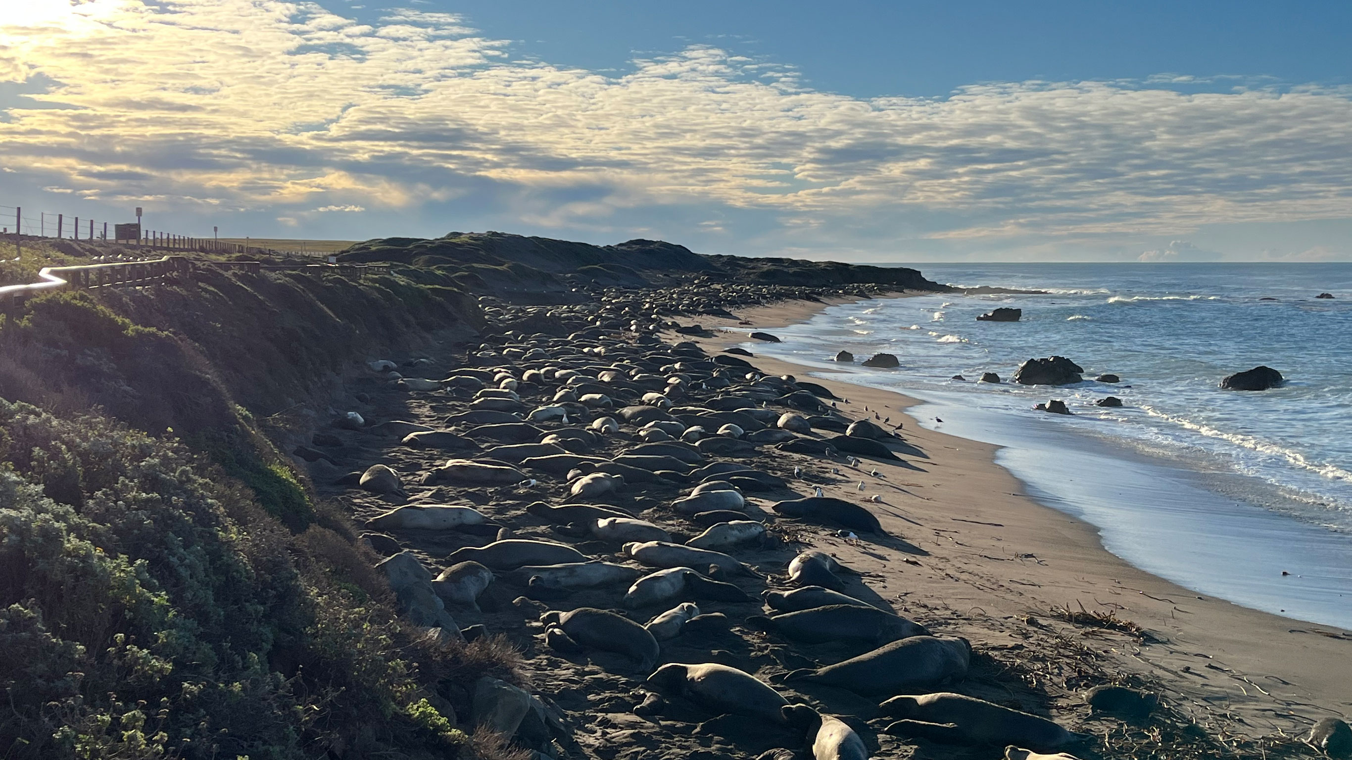 California Dreaming: Yosemite, Death Valley & Coastal Camping