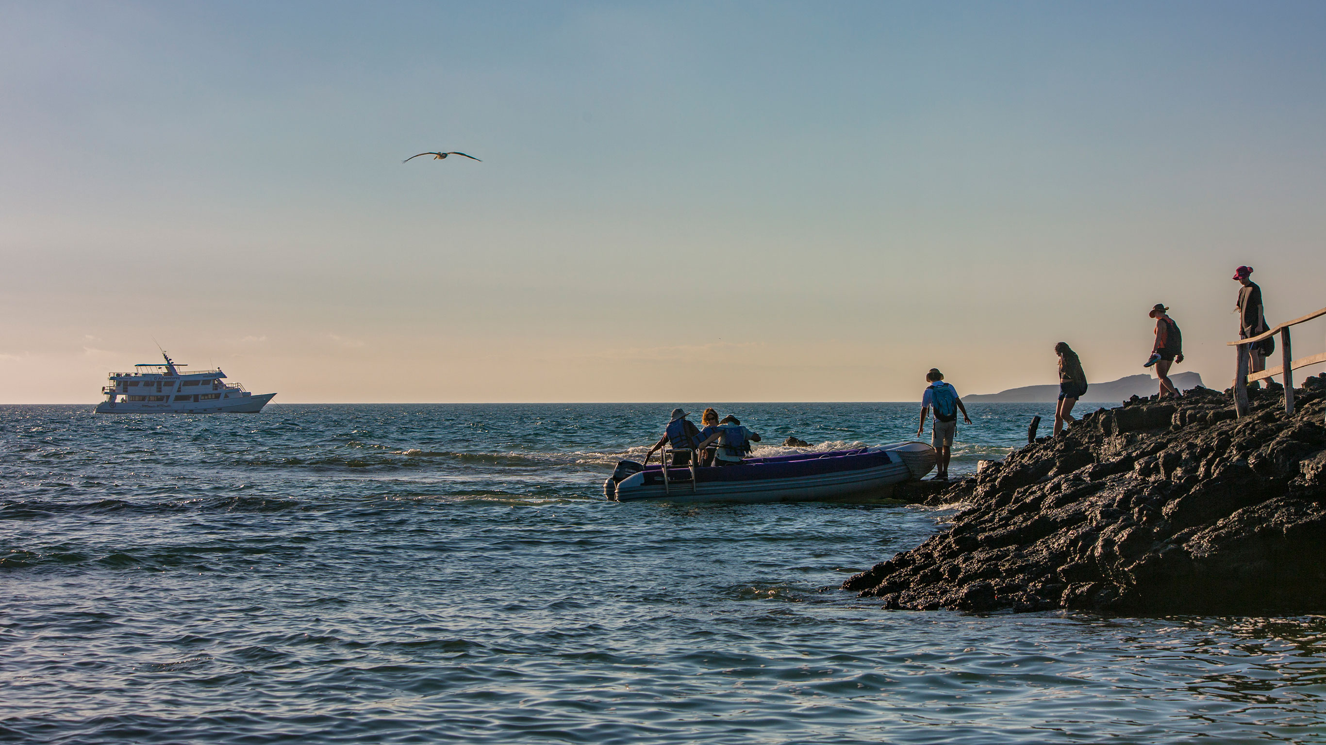 Galapagos — South & East Islands aboard the Eden