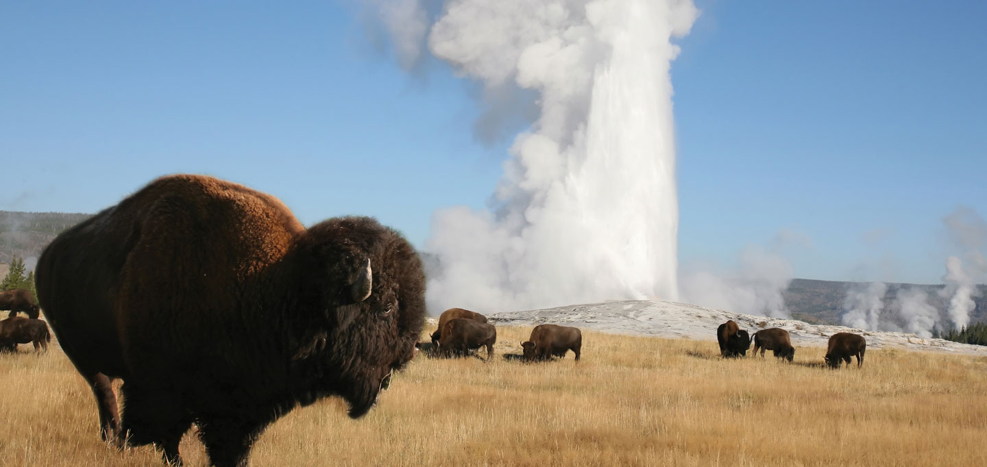 Yellowstone, Grand Tetons and Mount Rushmore
