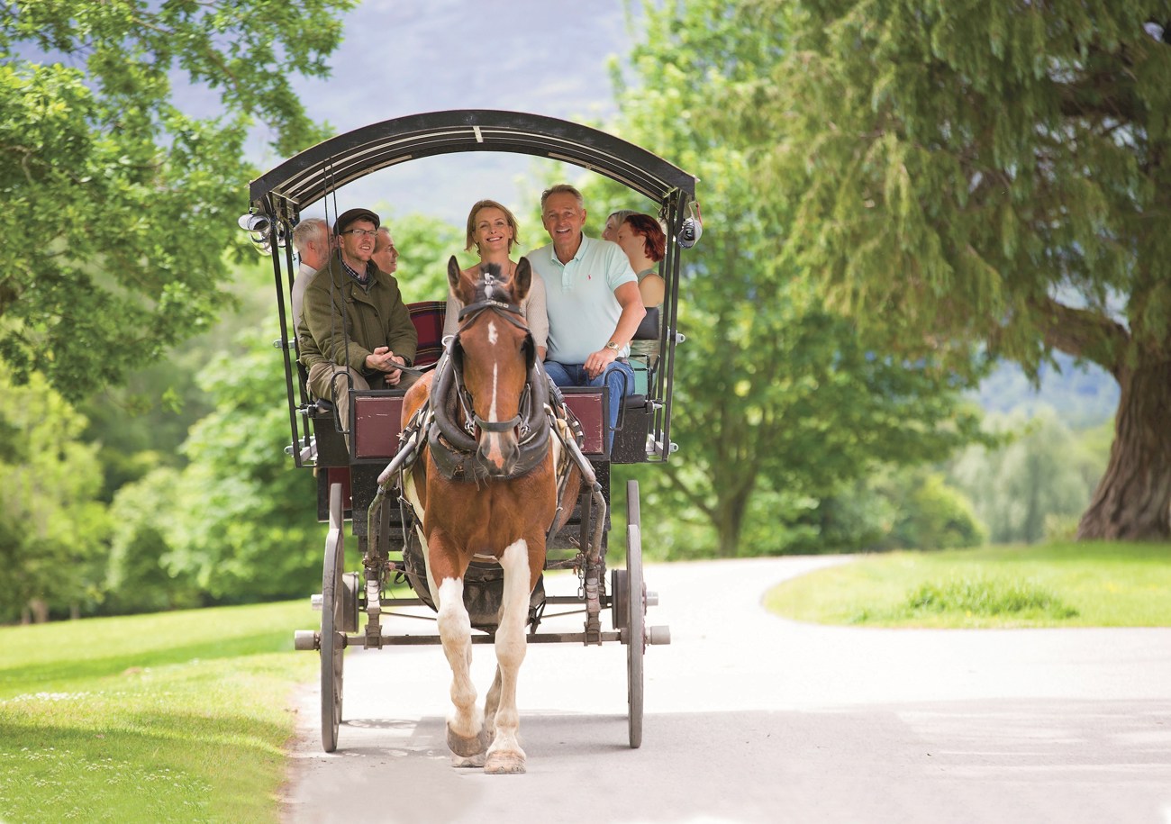 Focus on Ireland - Classic Group