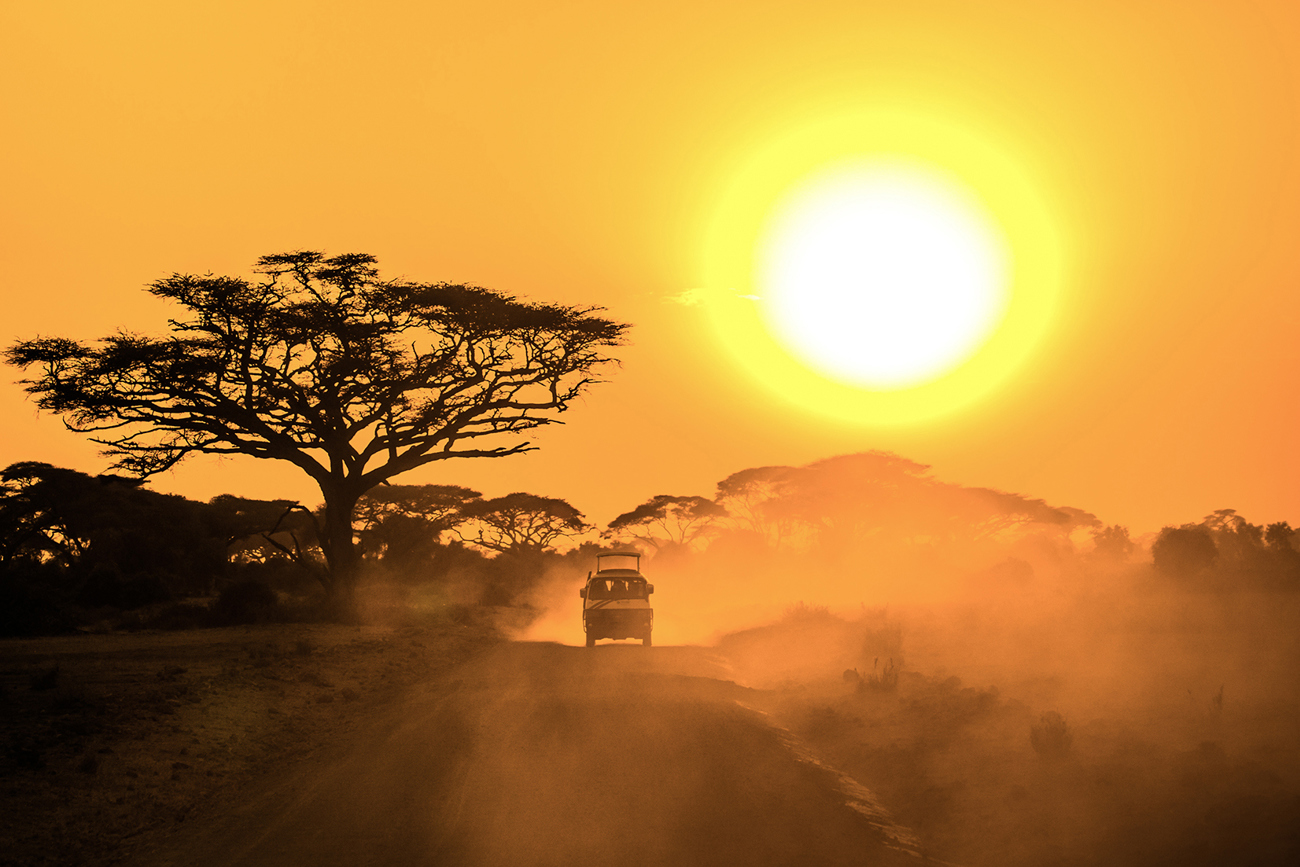 Kenya and Tanzania Safari | 2026