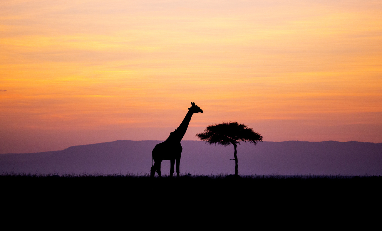 Kenya Adventure | 2026