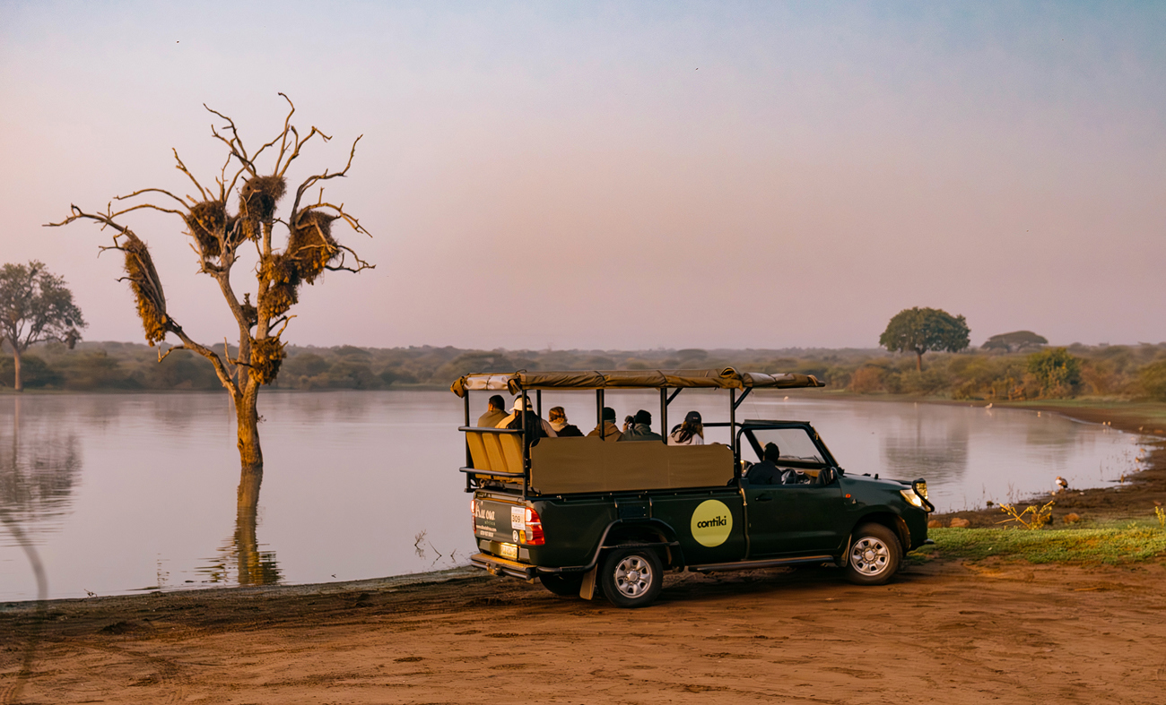 Cape, Safari &s | 2027