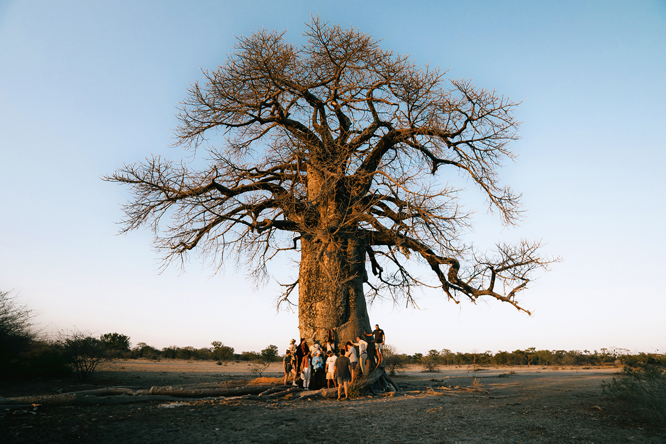 Tanzania Adventure | 2026