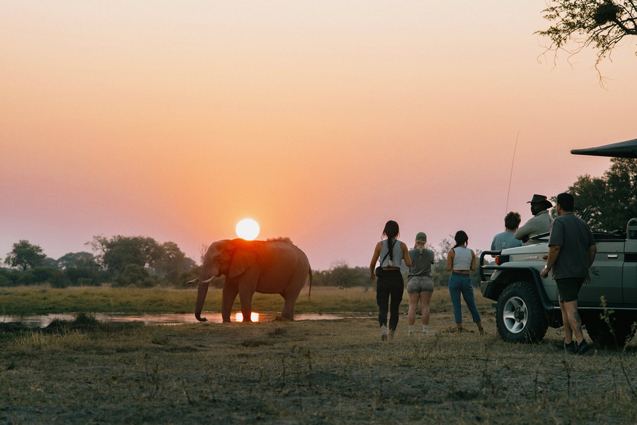 Victorias and Botswana | 2025