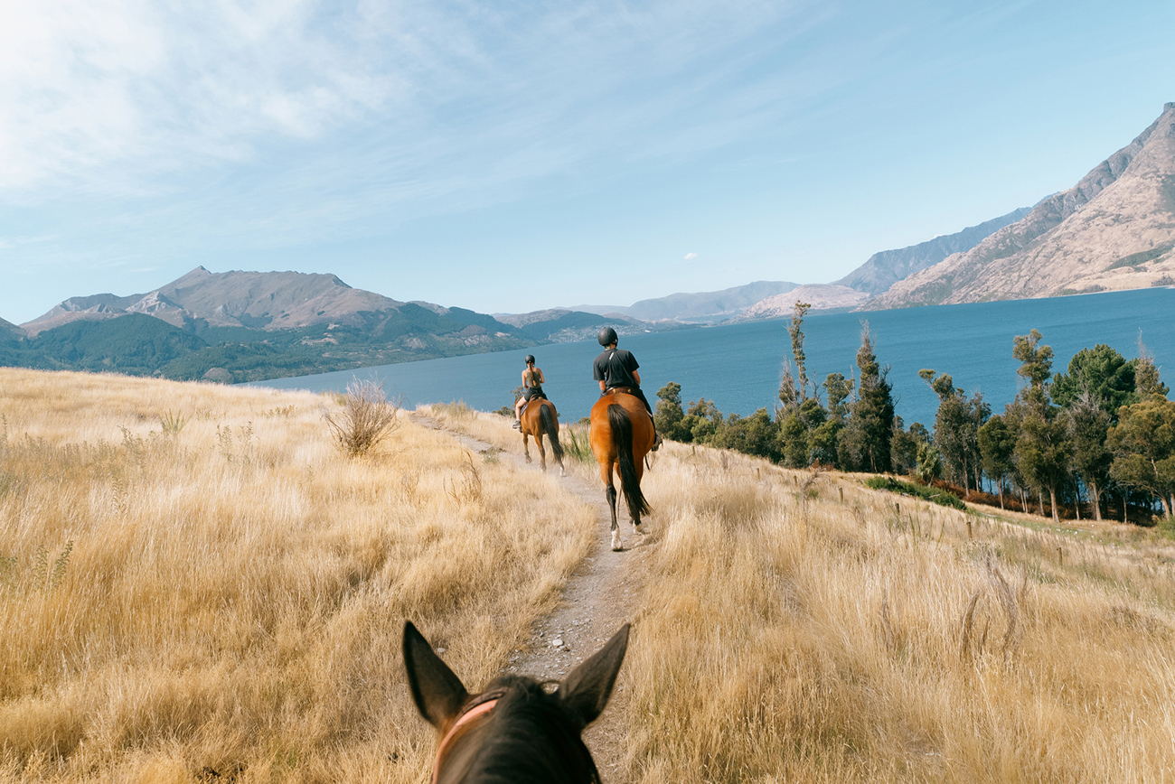 New Zealand Panorama | Southbound | Oct 2026 - Sep 2027