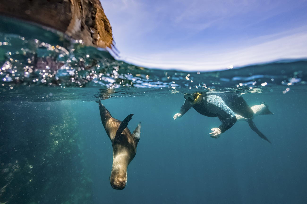 Galapagos Island Hopper | 2027