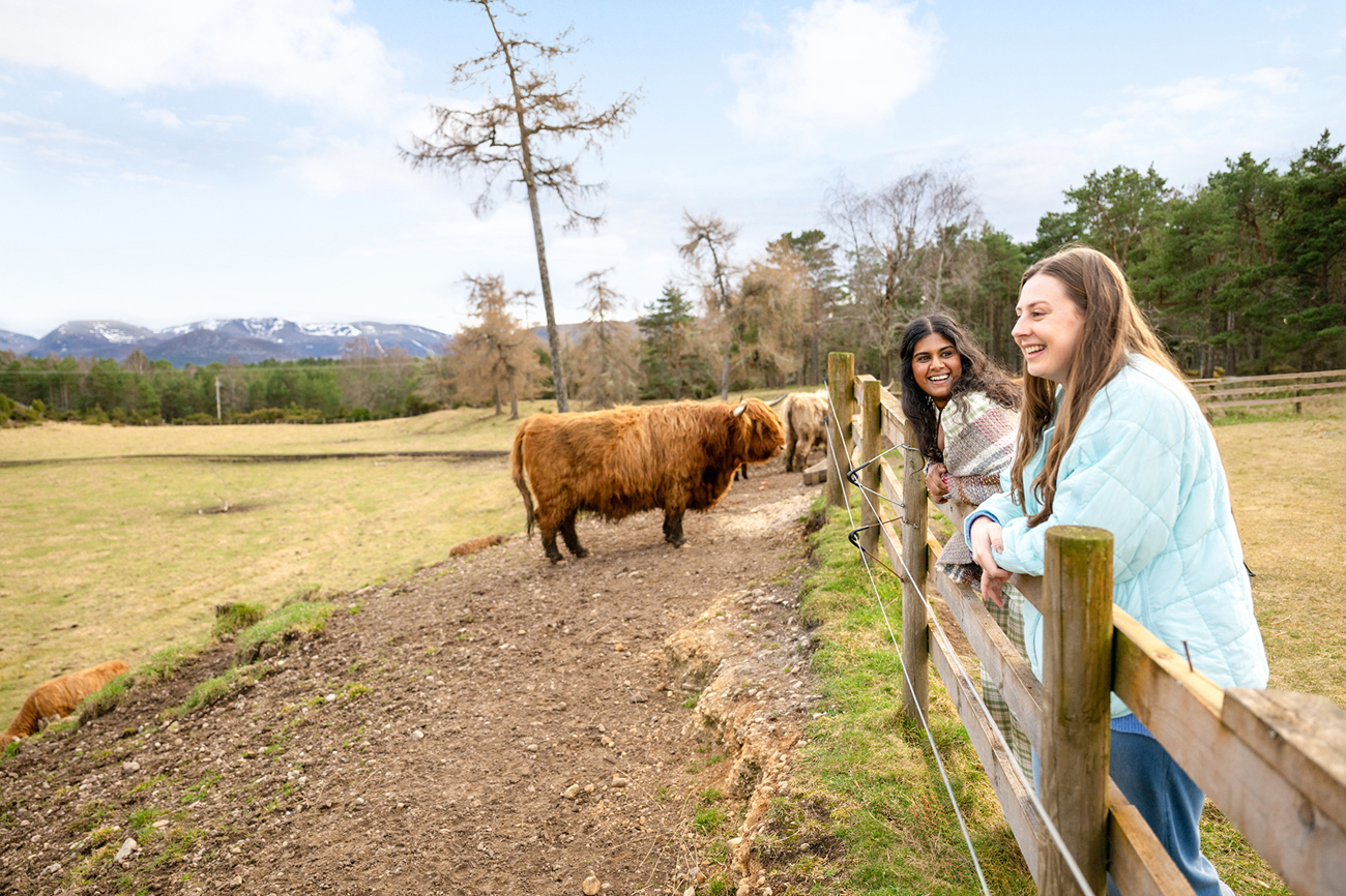 Scotland in a Week | Age 27-35 |