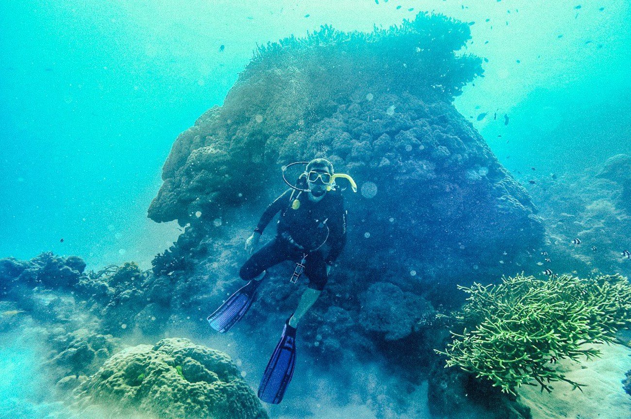 Great Barrier Reef Explorer | Learn to Dive | 2025 - 2026