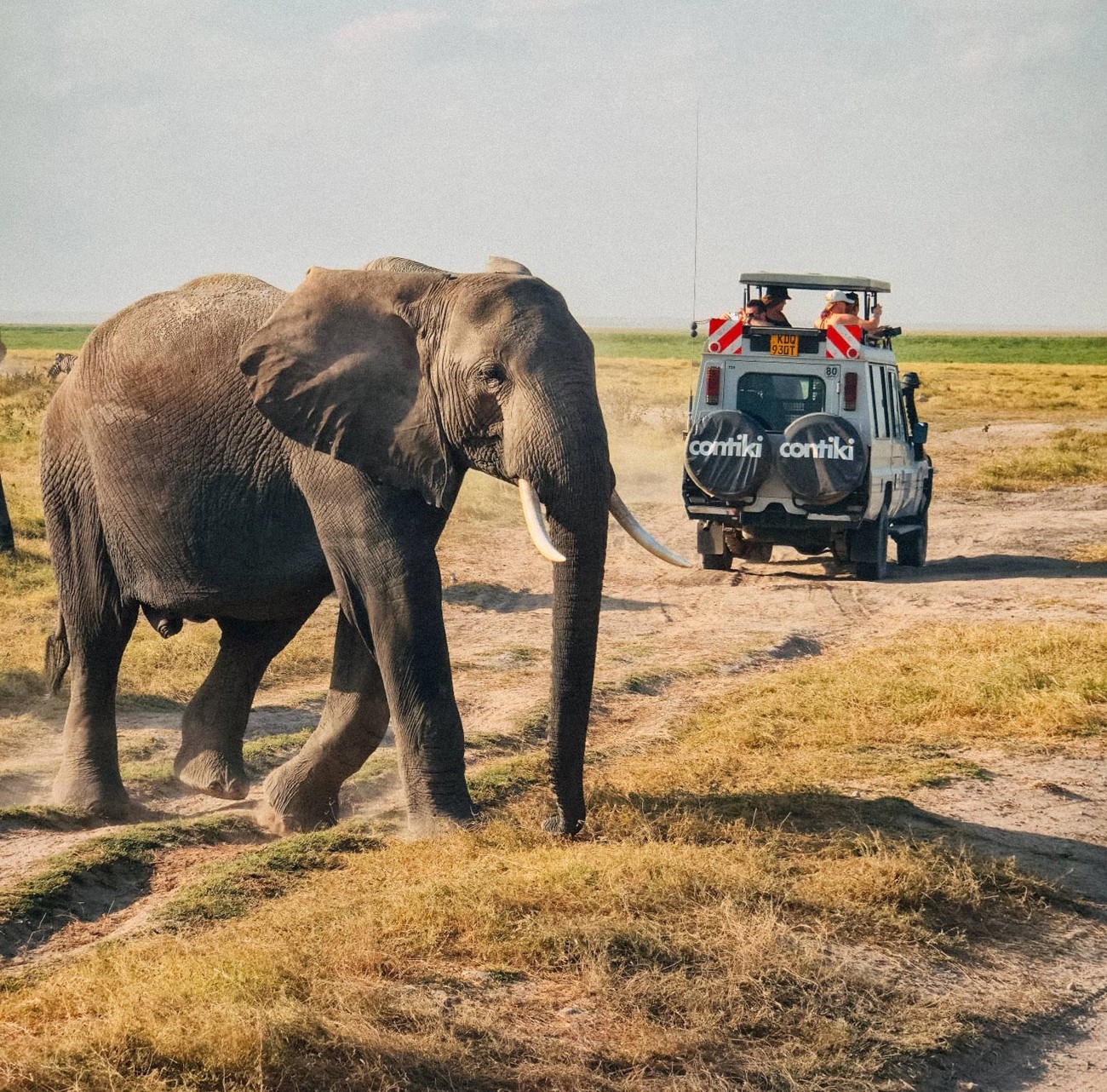 Tanzania Safari 35 to 45 | 2026