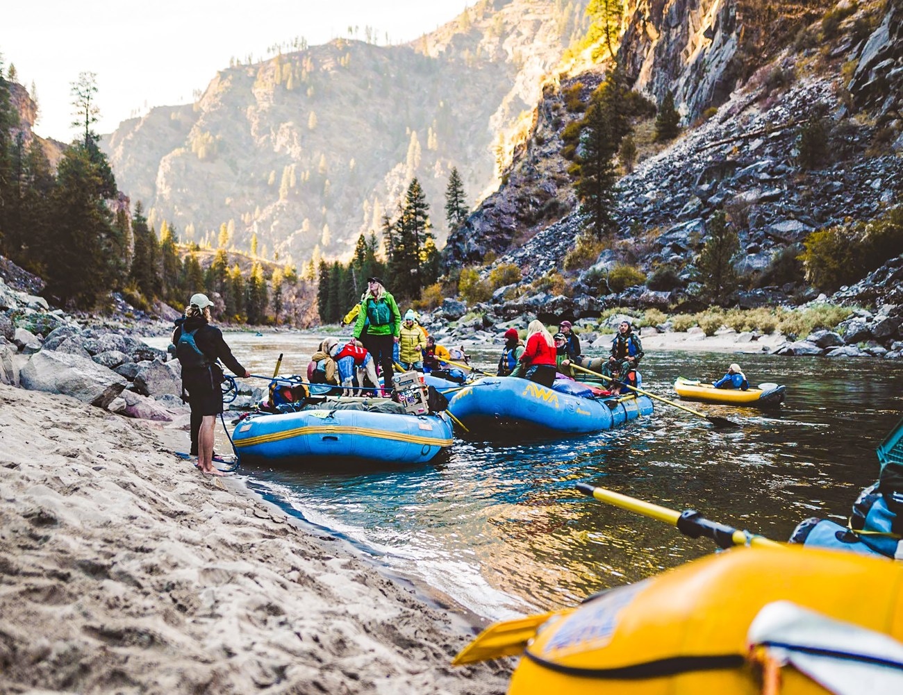 Yellowstone and Grand Tetons | 2026