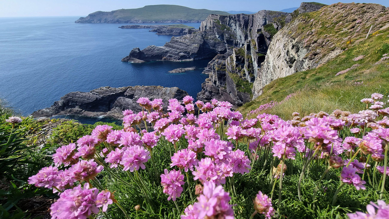 Ireland's Icons - Classic Group