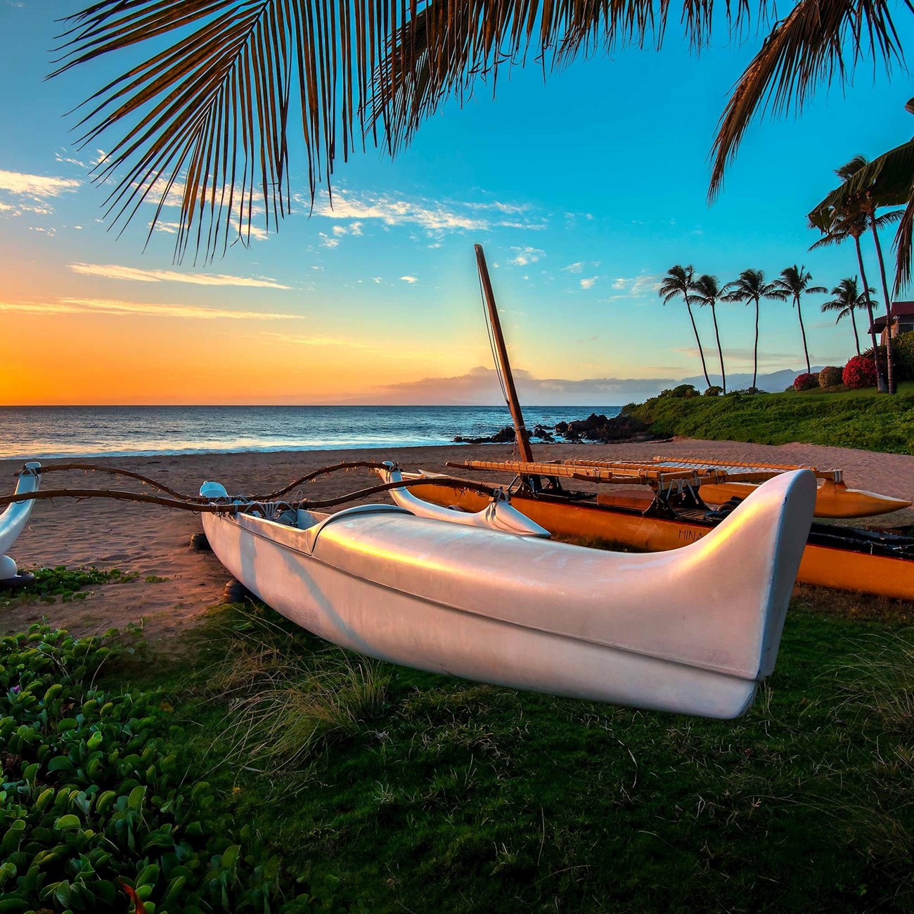 Hawaiian Explorer Premium