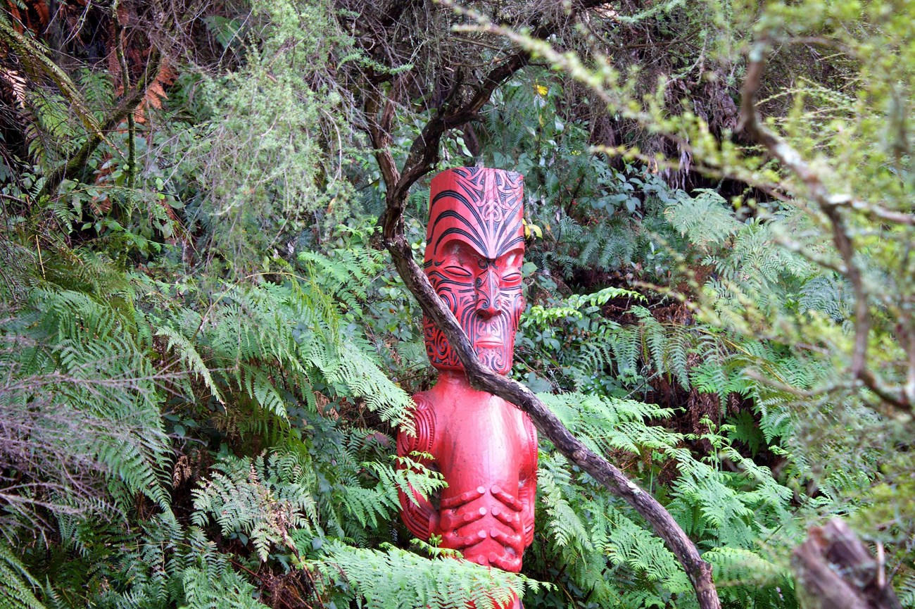 New Zealand Panorama